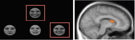 pppm_thumbnail.png pppm_thumbnail.png