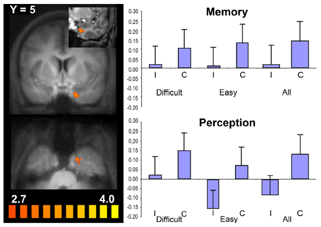 o_neil_cate_kohler_jneurosci_2009_fig2.png o_neil_cate_kohler_jneurosci_2009_fig2.png