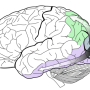image4_semantic.png