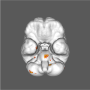 image1_consciousness.png